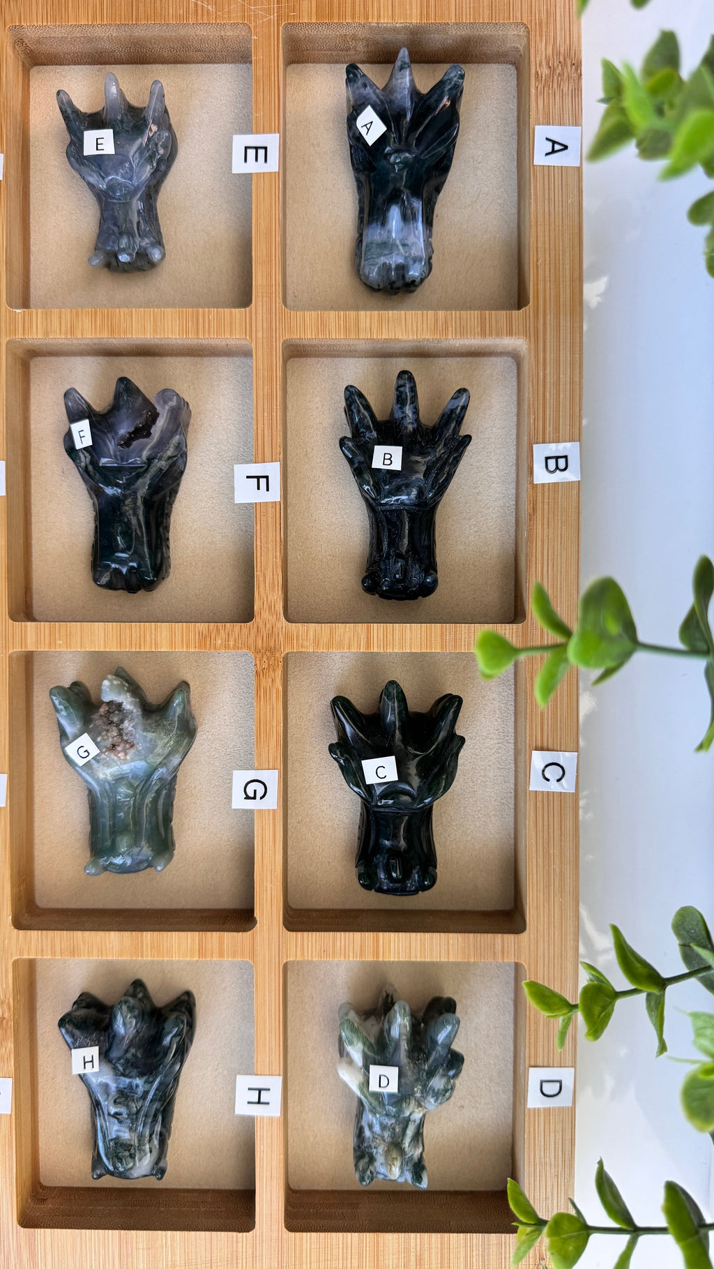 Moss Agate Dragon, You Choose 2-2.5" Crystal Dragon Head Skull for Stable Growth