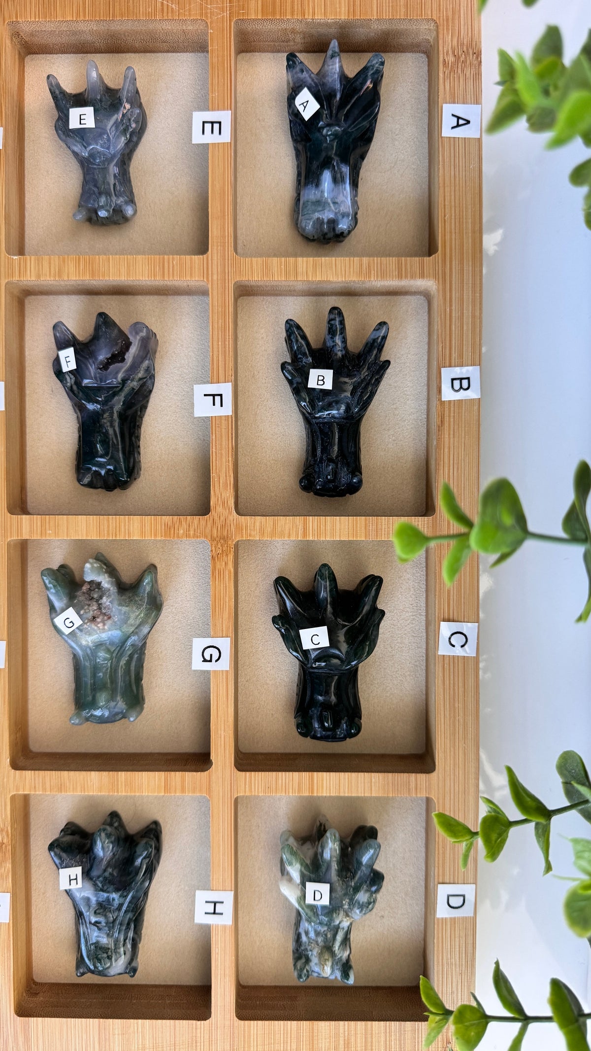 Moss Agate Dragon, You Choose 2-2.5" Crystal Dragon Head Skull for Stable Growth