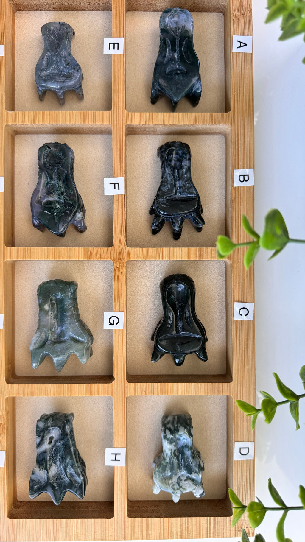 Moss Agate Dragon, You Choose 2-2.5" Crystal Dragon Head Skull for Stable Growth