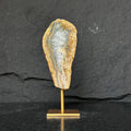 Jasper geode, genuine jasper by DeepPurpleProject