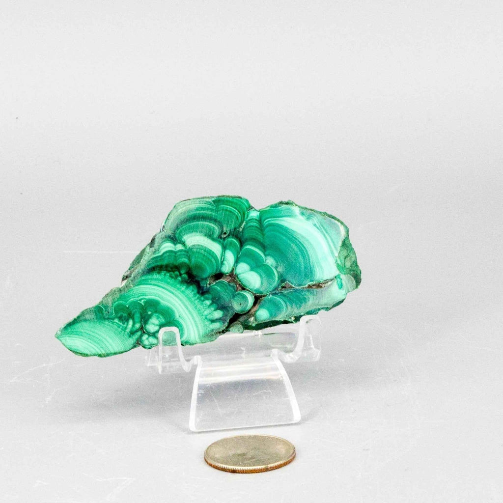 Malachite Crystal Polished Slice Natural Green Banding