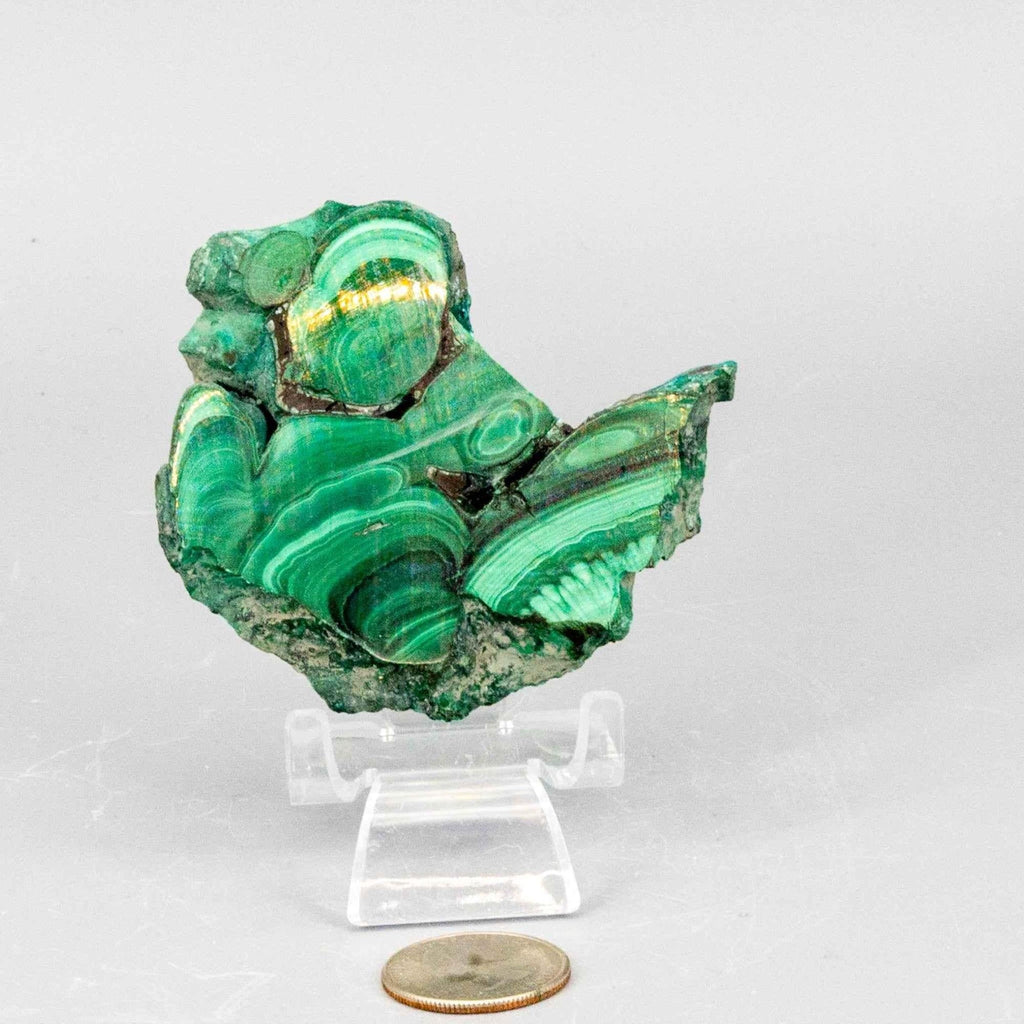 Malachite Crystal Polished Slice Natural Green Banding