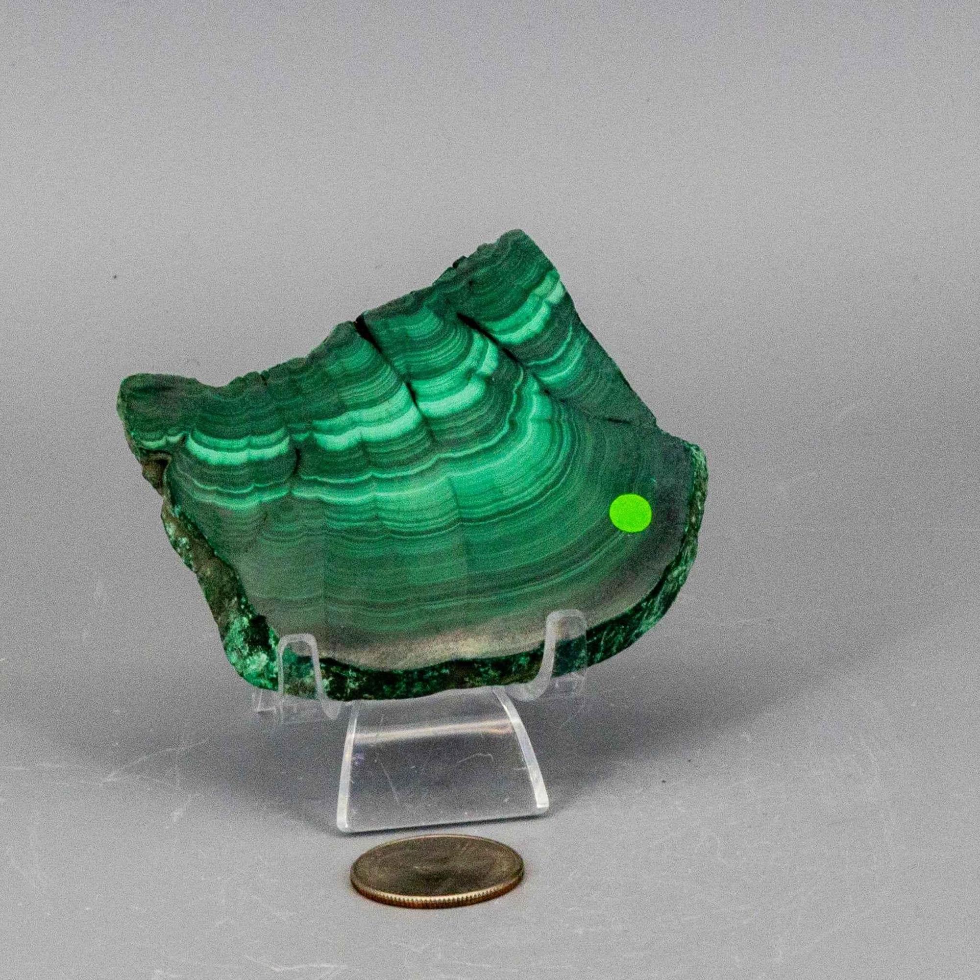 Malachite Crystal Polished Slice Natural Green Banding