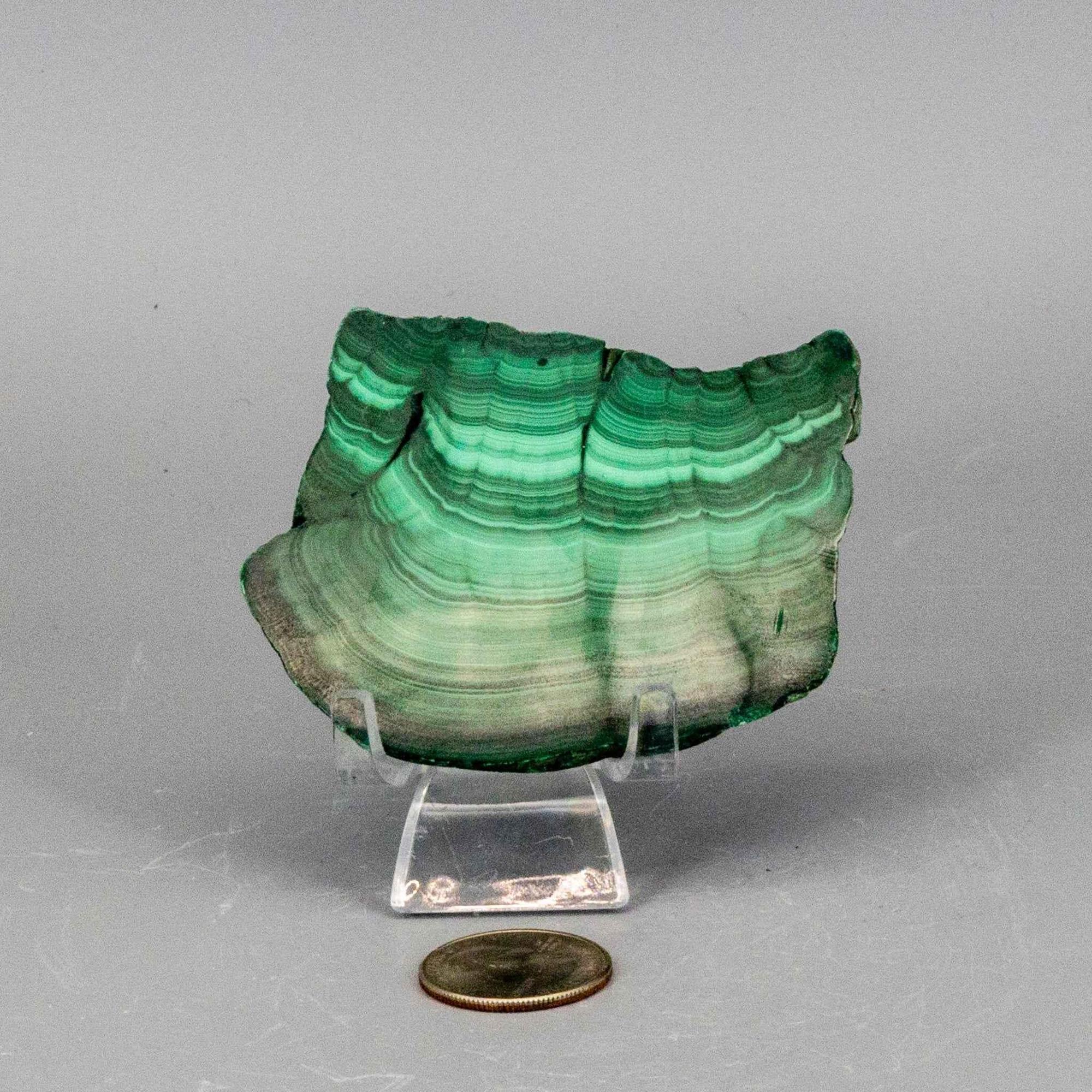 Malachite Crystal Polished Slice Natural Green Banding