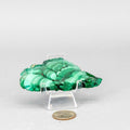 Malachite Crystal Polished Slice Natural Green Banding