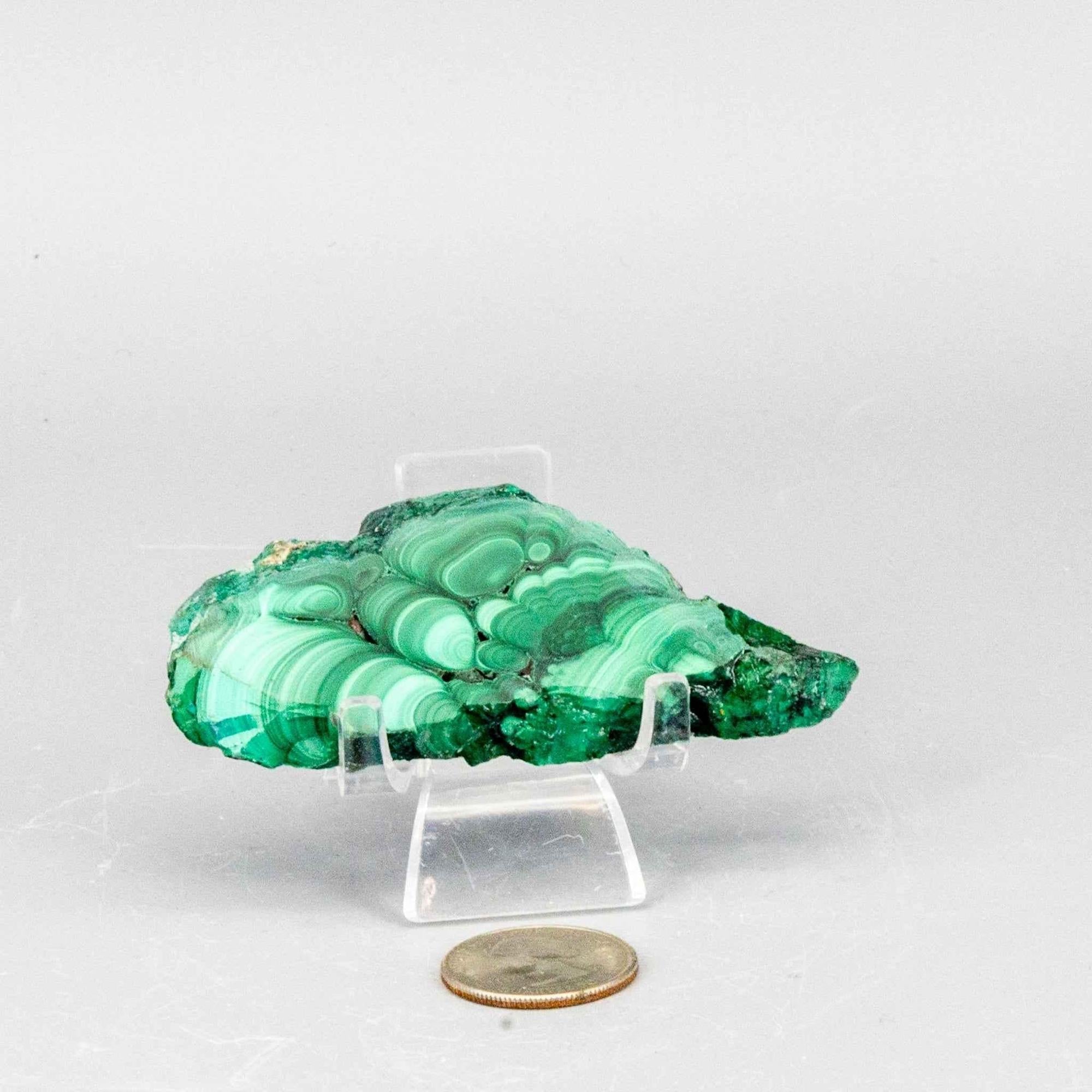 Malachite Crystal Polished Slice Natural Green Banding
