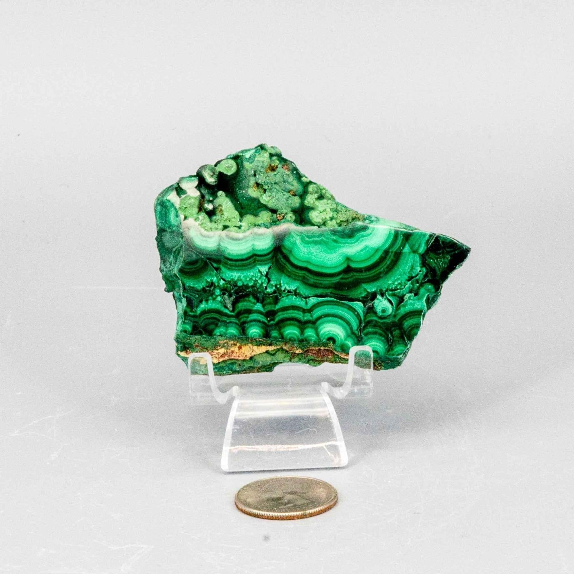 Malachite Crystal Polished Slice Natural Green Banding