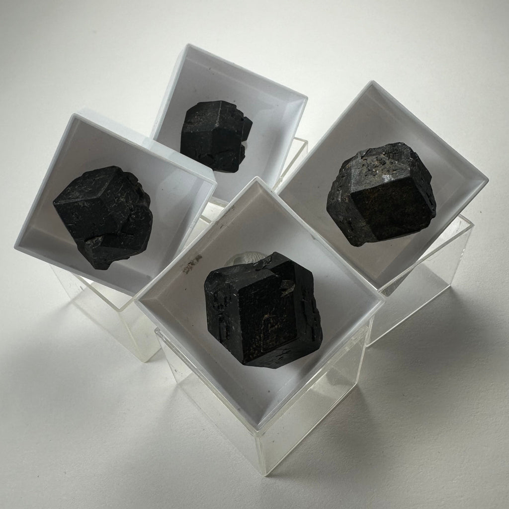 Thumbnail Specimens in Acrylic Box from Morocco
