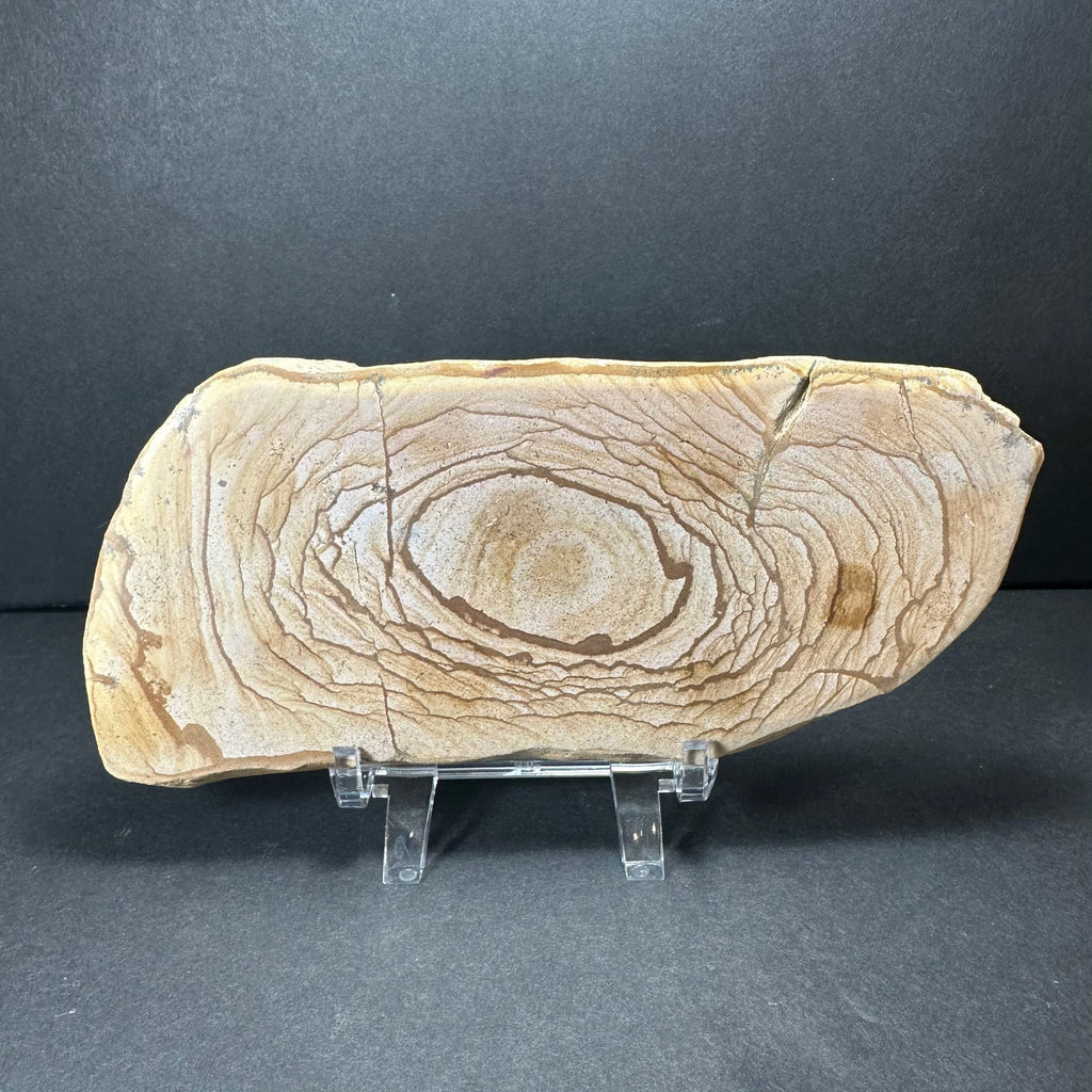 Picture Jasper Plate (L) from Morocco