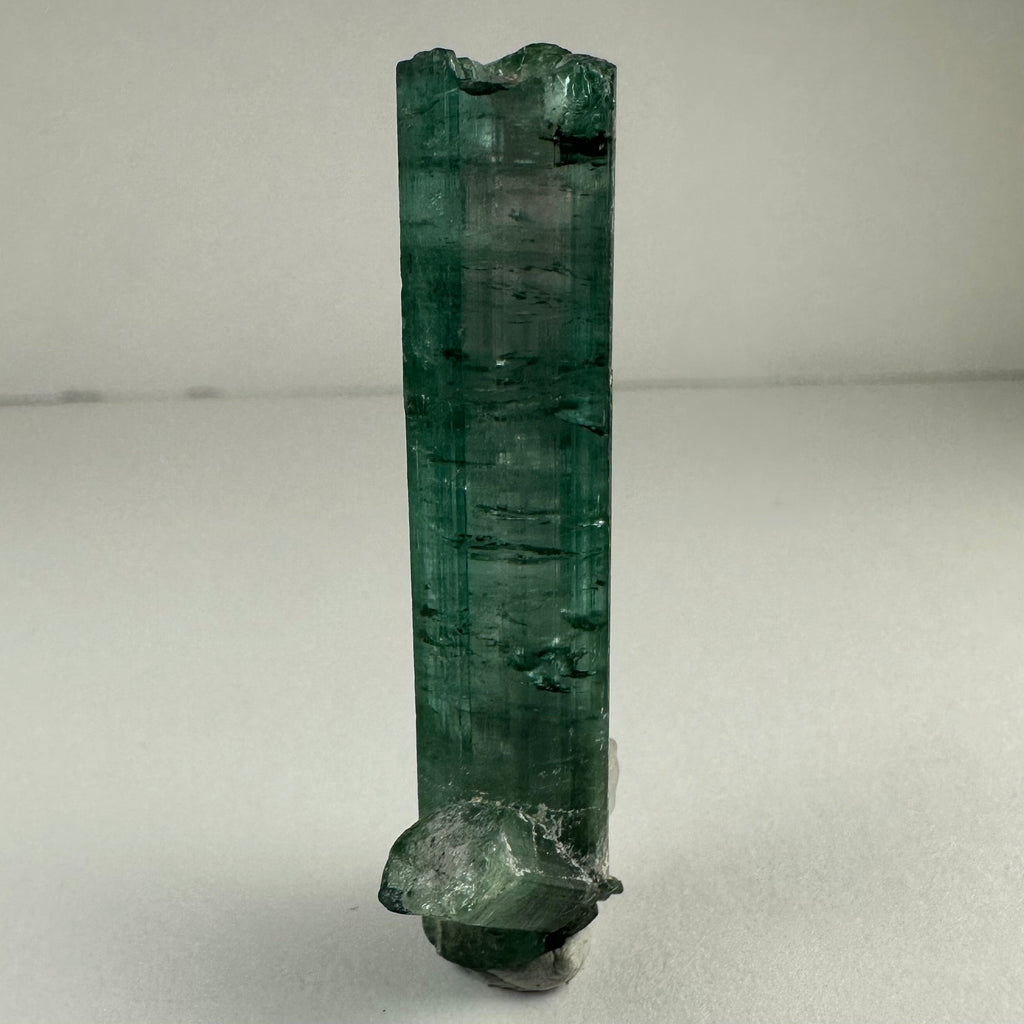 Indicolite Tourmaline with Rubellite from Africa by Rare Earth Gallery