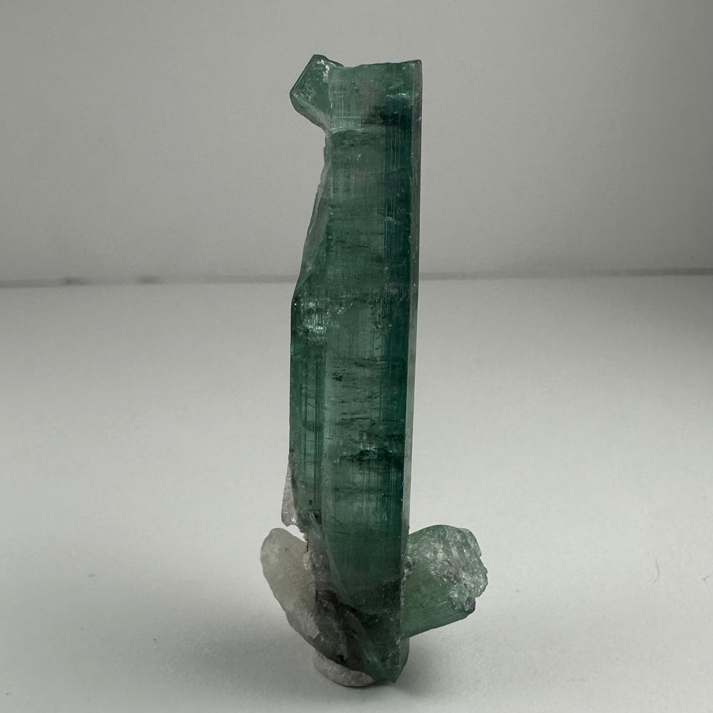 Indicolite Tourmaline with Rubellite from Africa by Rare Earth Gallery
