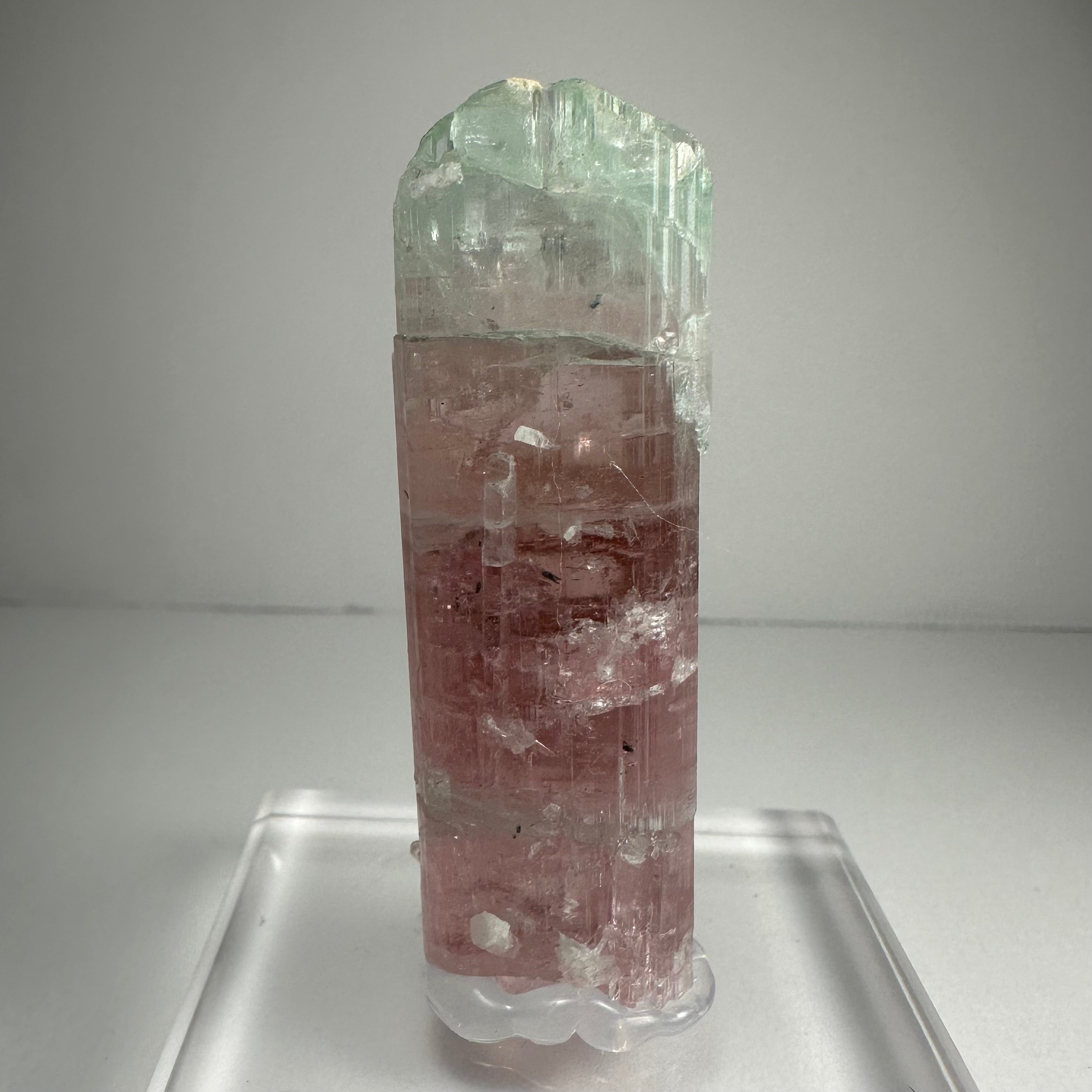 Watermelon Tourmaline by Rare Earth Gallery