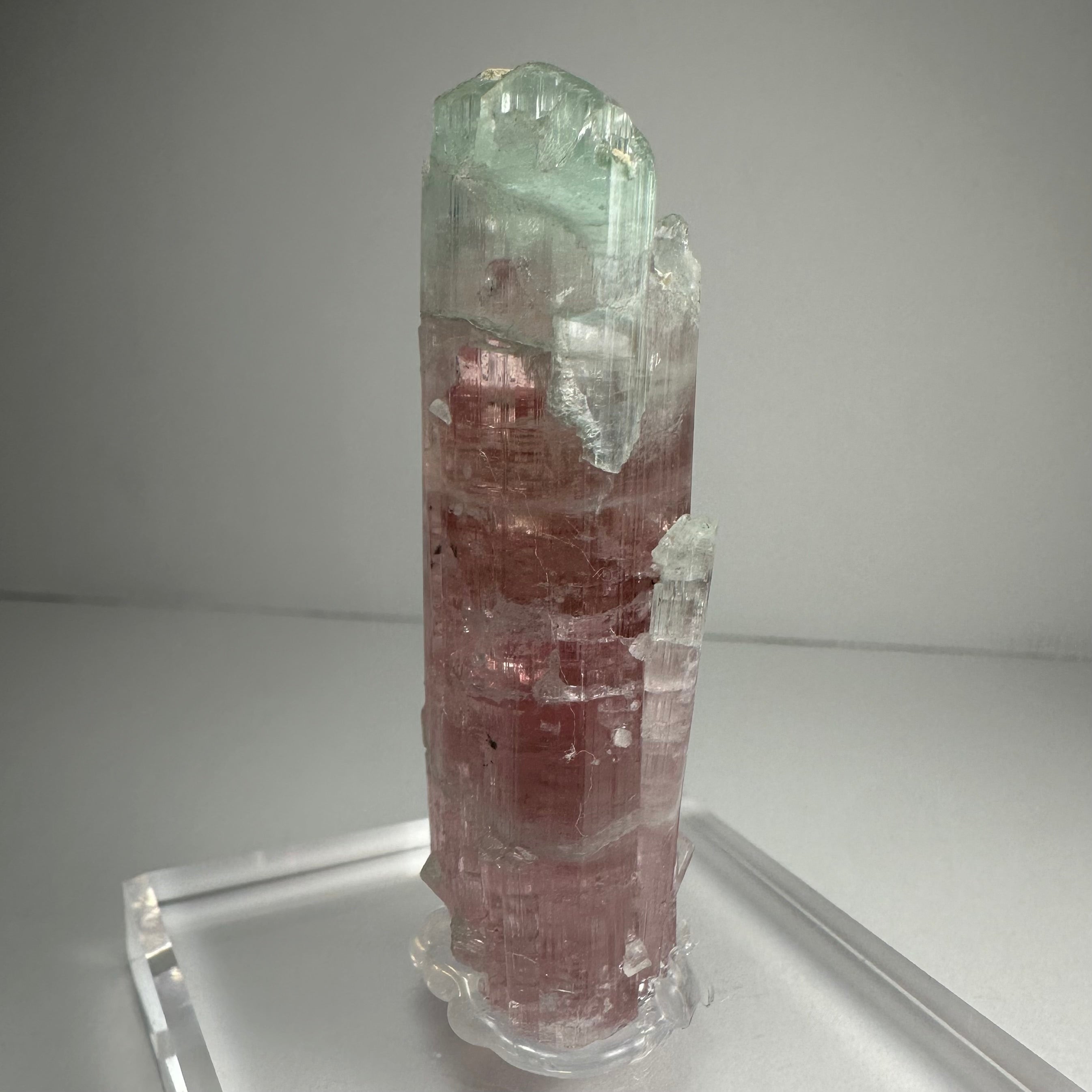 Watermelon Tourmaline by Rare Earth Gallery