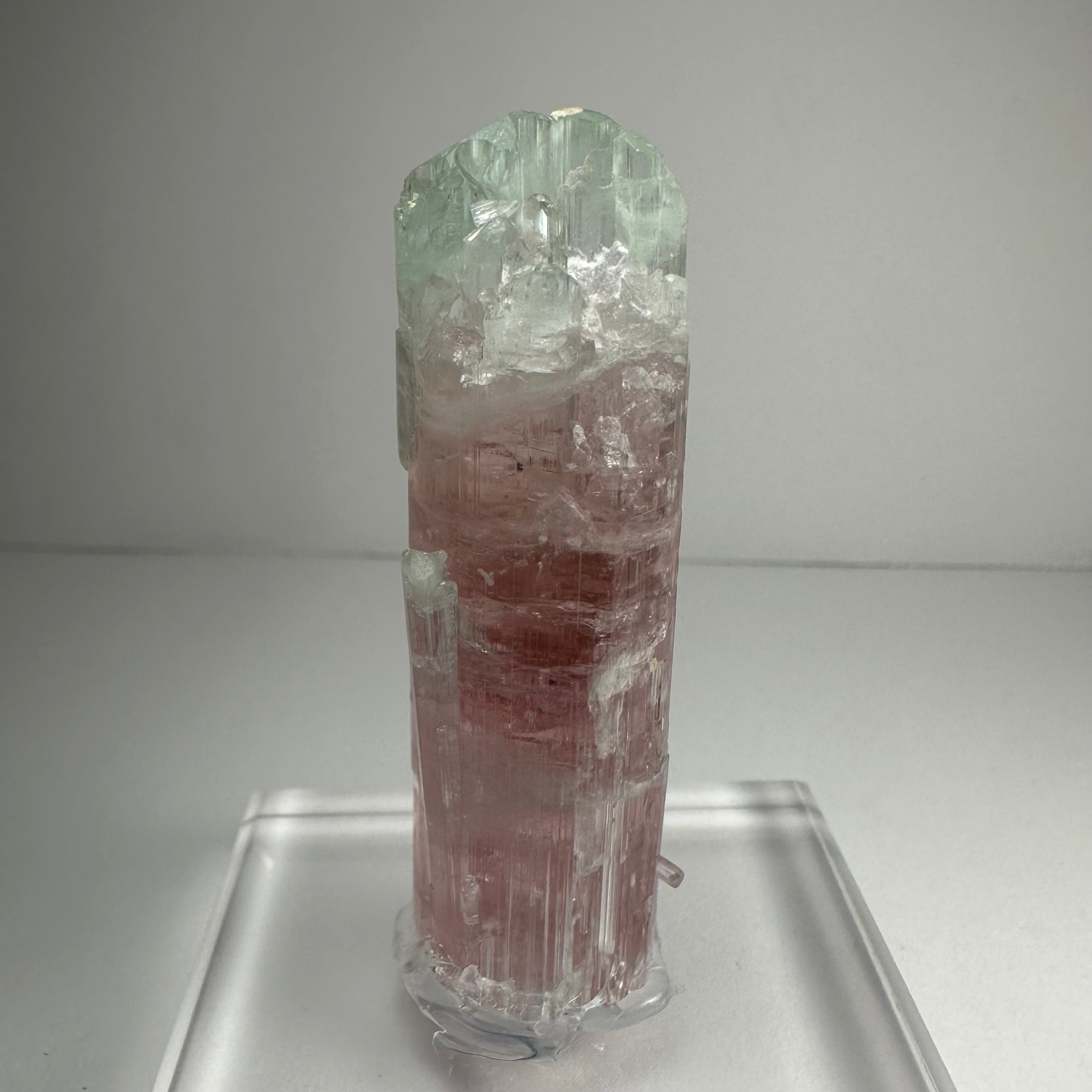 Watermelon Tourmaline by Rare Earth Gallery