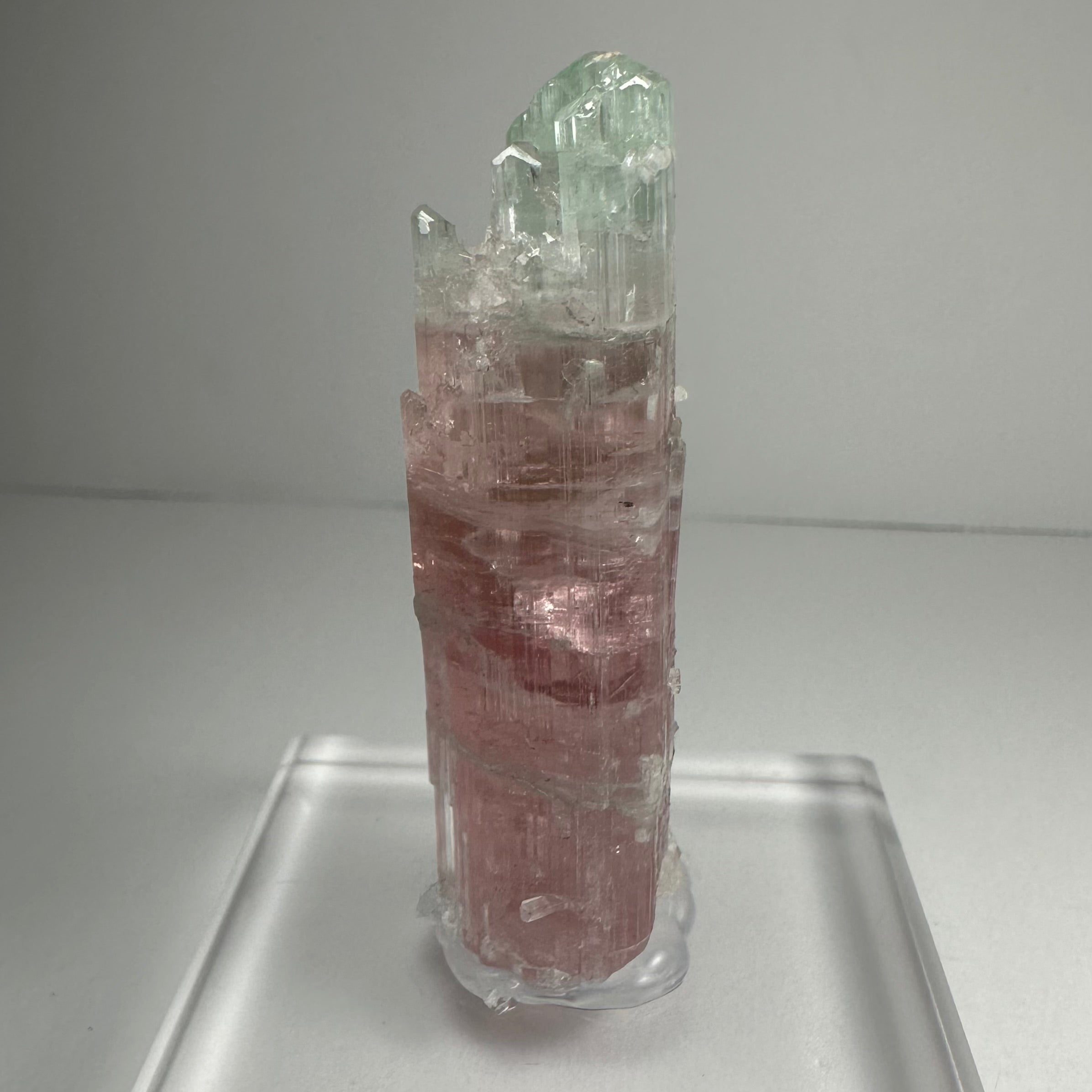 Watermelon Tourmaline by Rare Earth Gallery