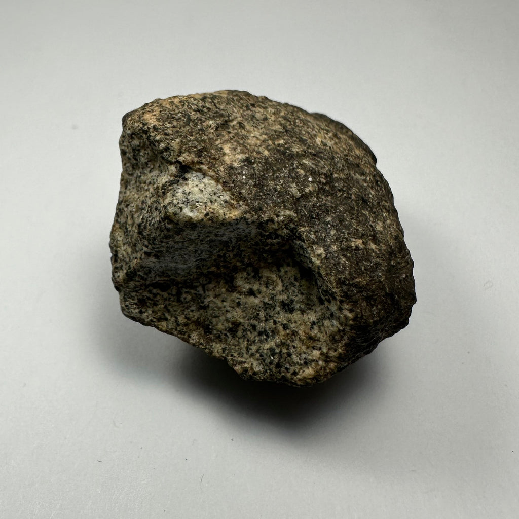 Chondrites Meteorite South Sahara Desert, Morocco by Rare Earth Gallery