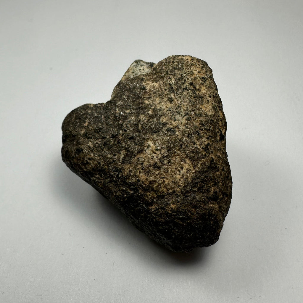 Chondrites Meteorite South Sahara Desert, Morocco by Rare Earth Gallery