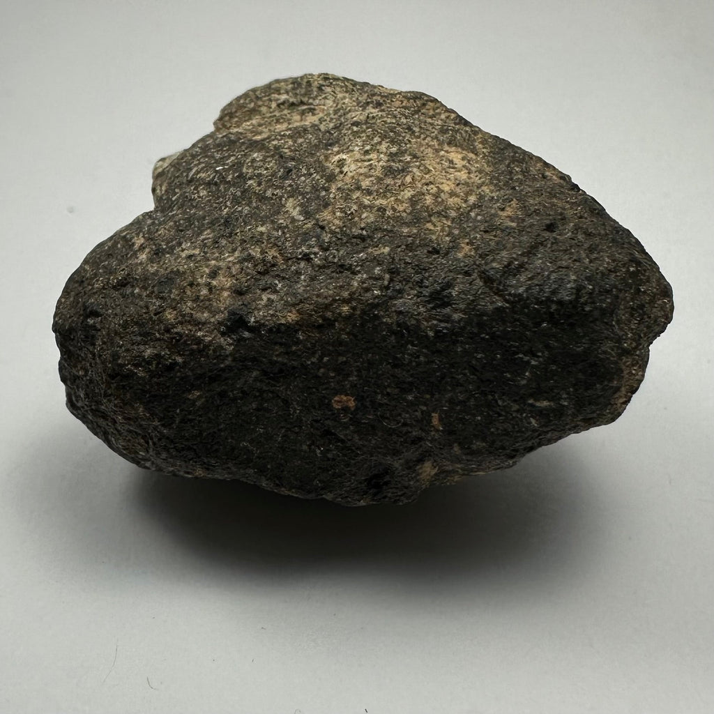 Chondrites Meteorite South Sahara Desert, Morocco by Rare Earth Gallery