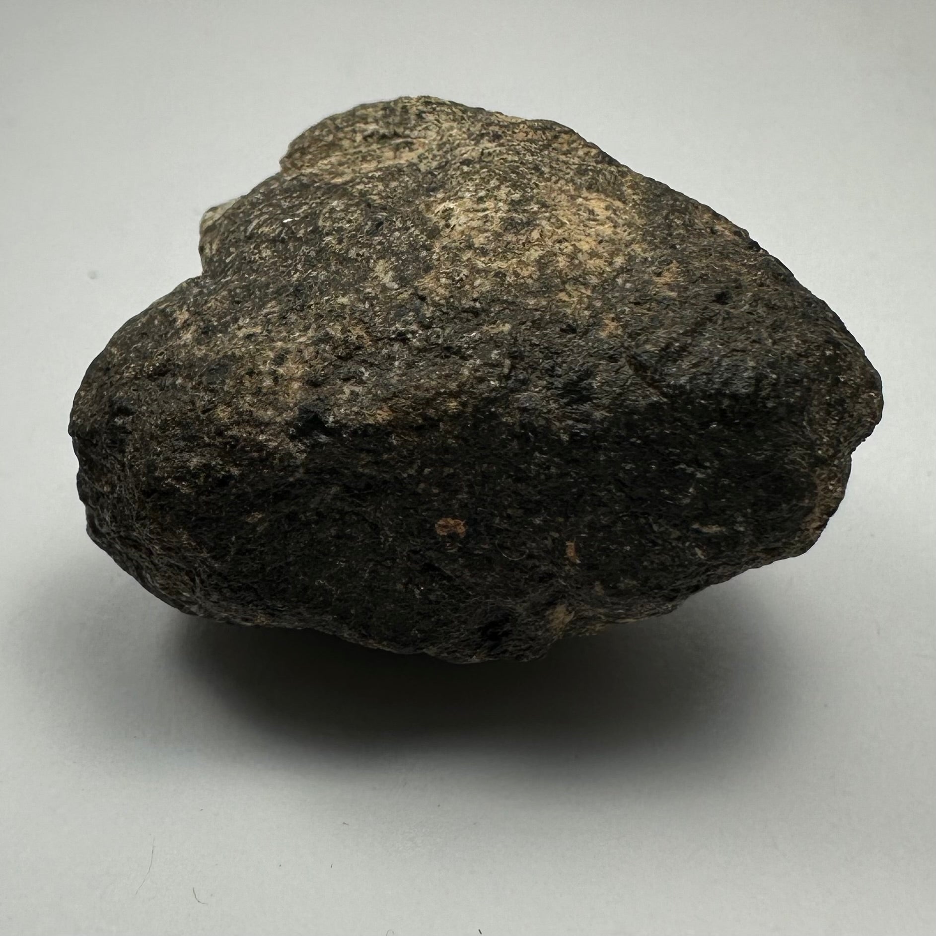 Chondrites Meteorite South Sahara Desert, Morocco by Rare Earth Gallery