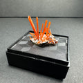Crocoite on Matrix Adelaide Mine, Dundas, Tasmania, Australia by Rare Earth Gallery