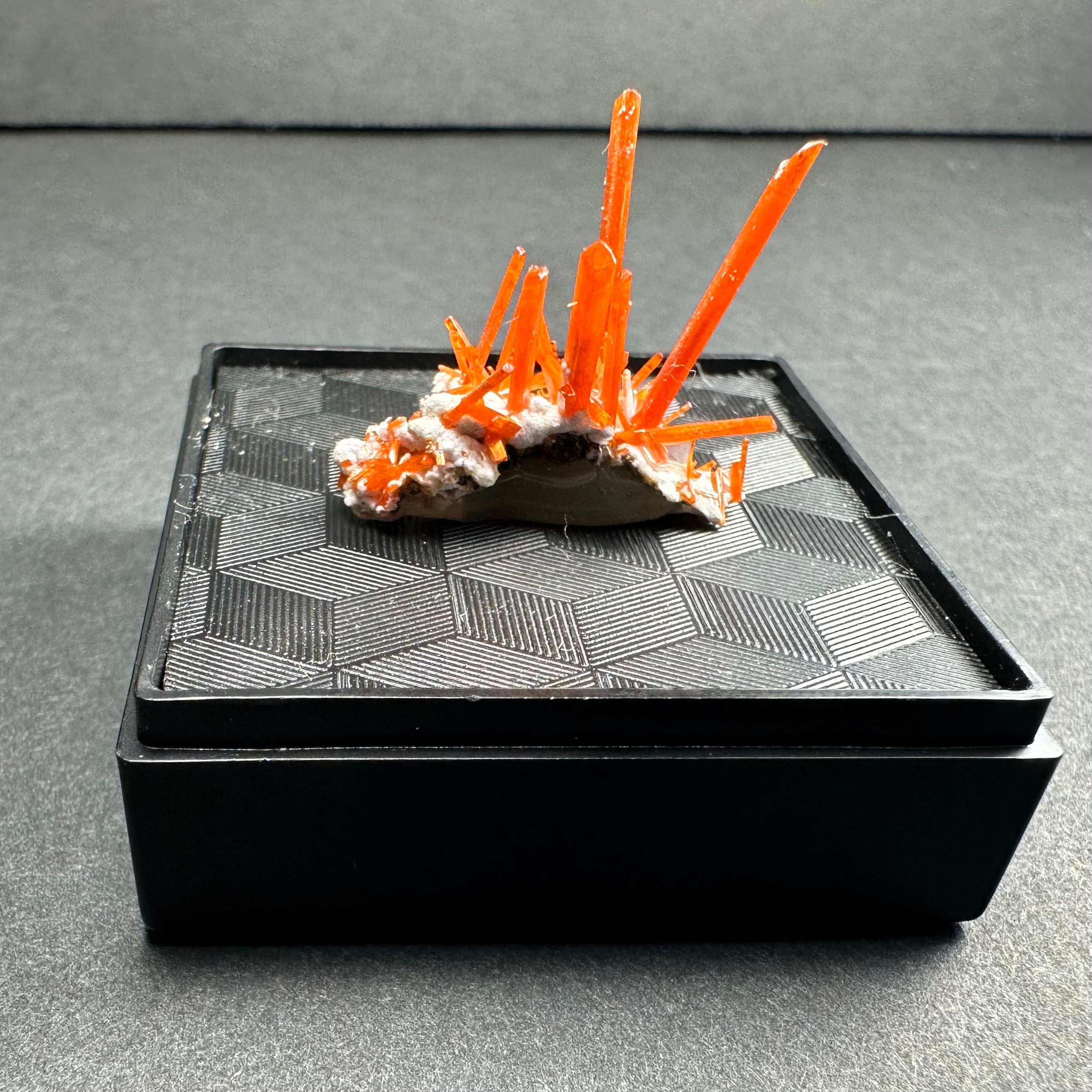 Crocoite on Matrix Adelaide Mine, Dundas, Tasmania, Australia by Rare Earth Gallery