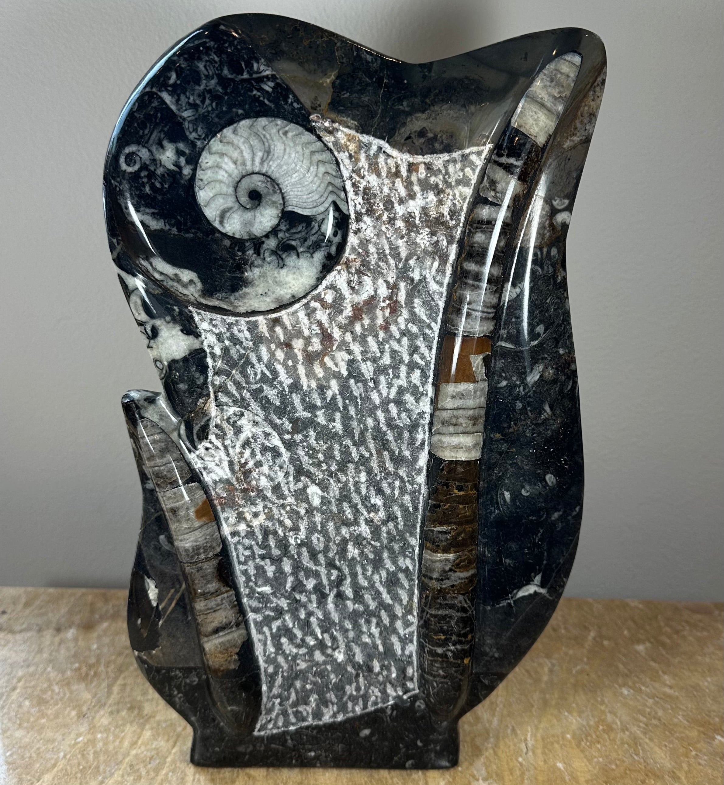 Ammonite Fossils in Matrix Sculpture by Rare Earth Gallery