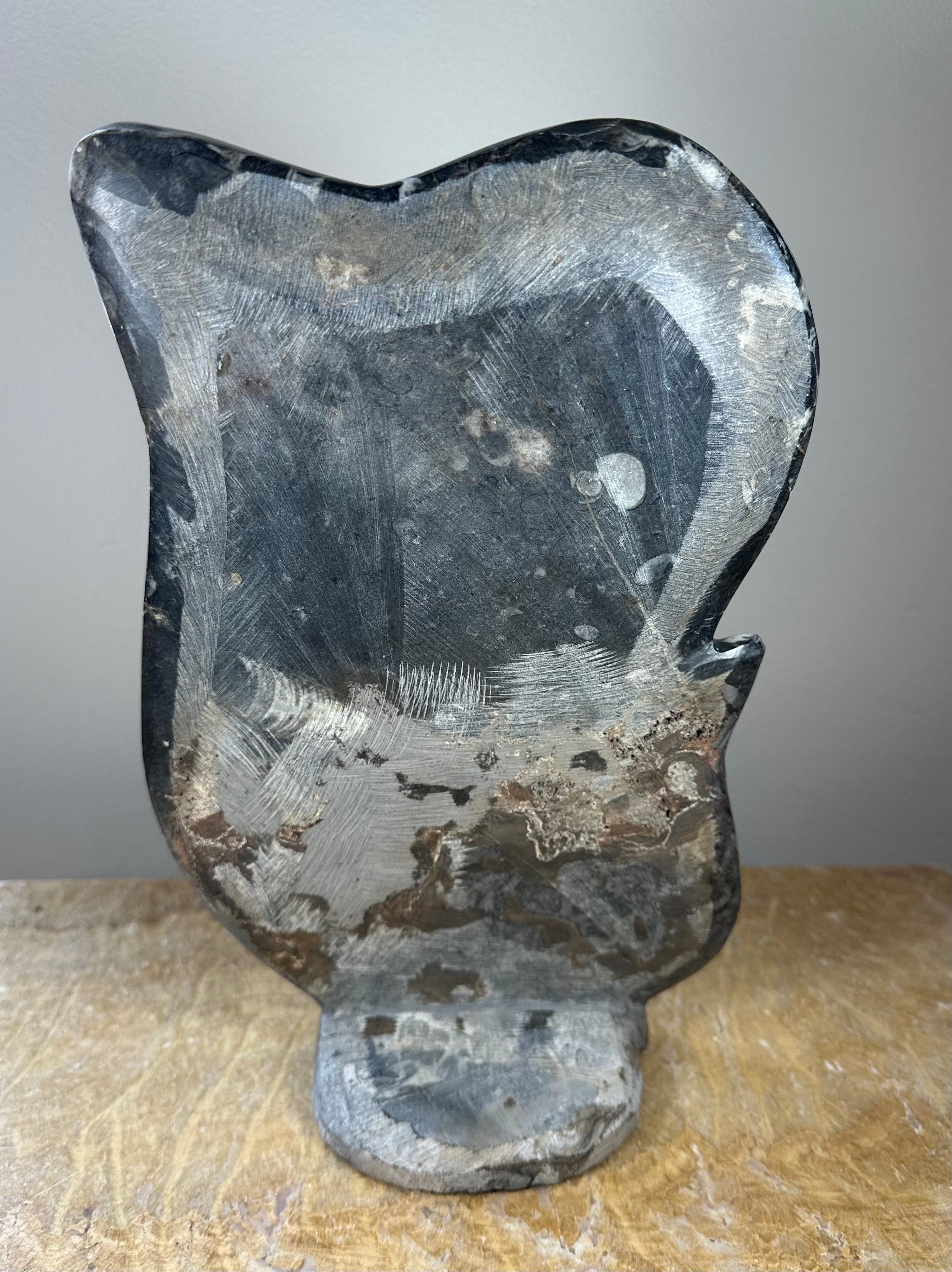 Ammonite Fossils in Matrix Sculpture by Rare Earth Gallery