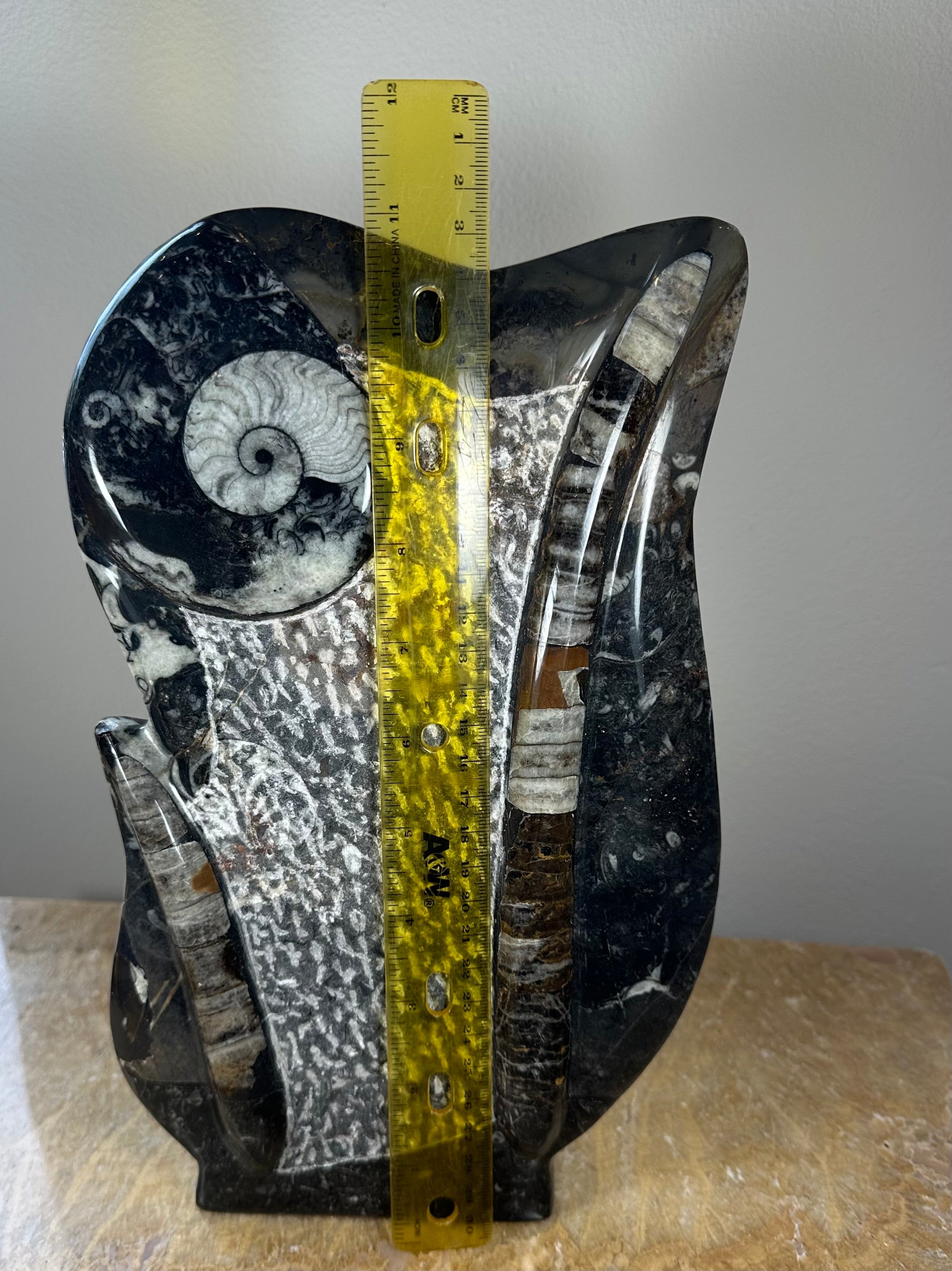 Ammonite Fossils in Matrix Sculpture by Rare Earth Gallery
