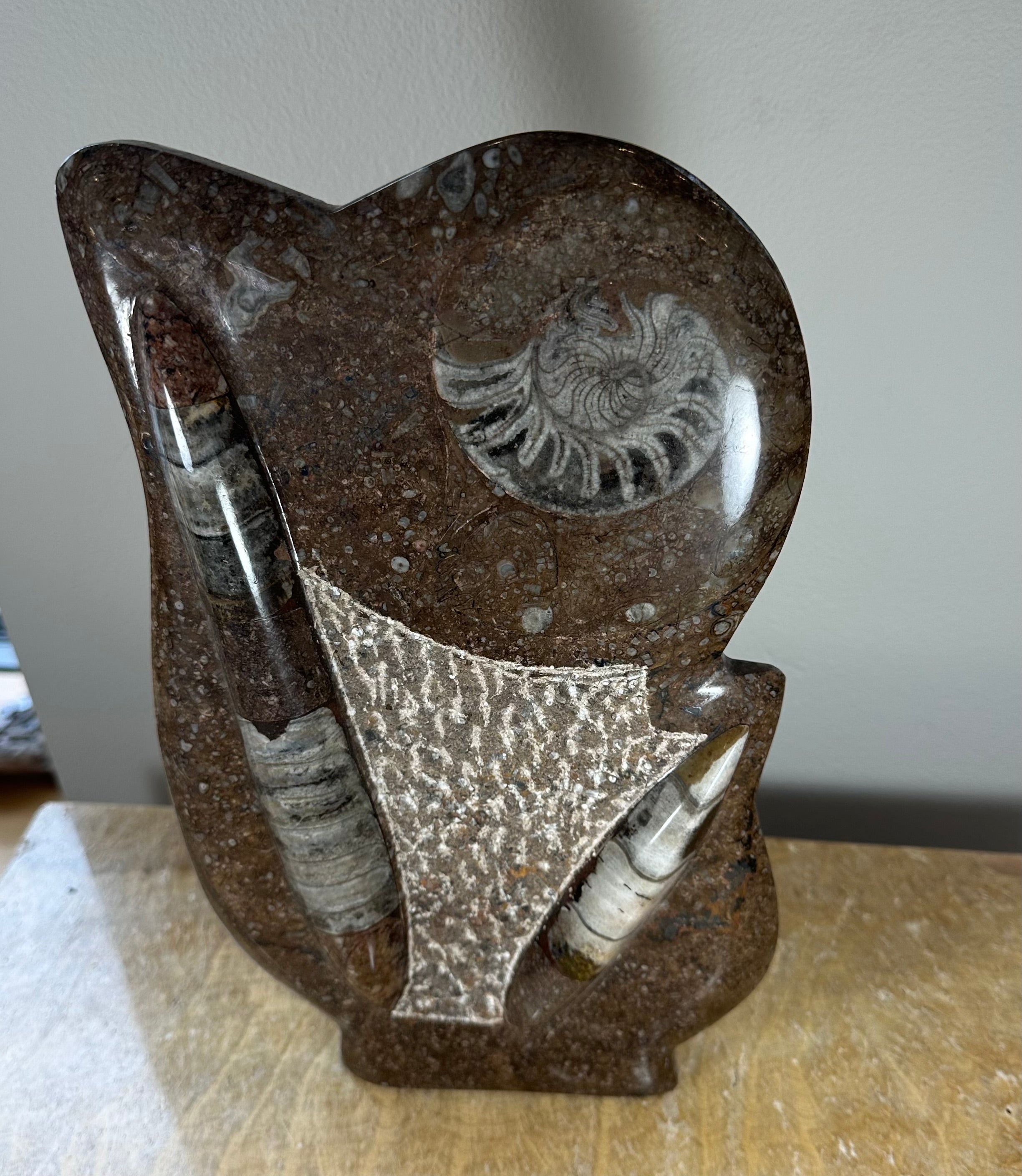 Ammonite Fossils in Matrix Sculpture by Rare Earth Gallery