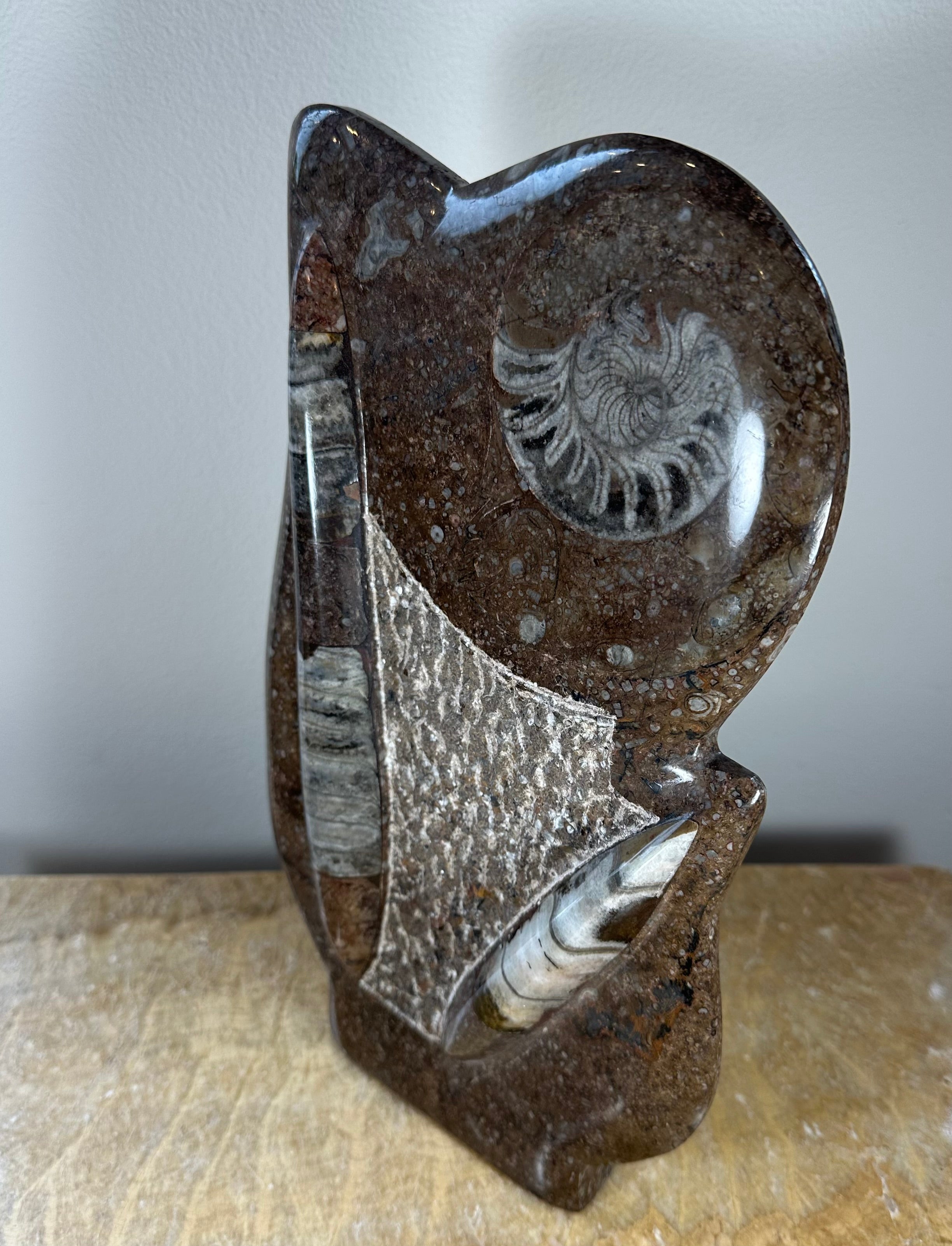 Ammonite Fossils in Matrix Sculpture by Rare Earth Gallery