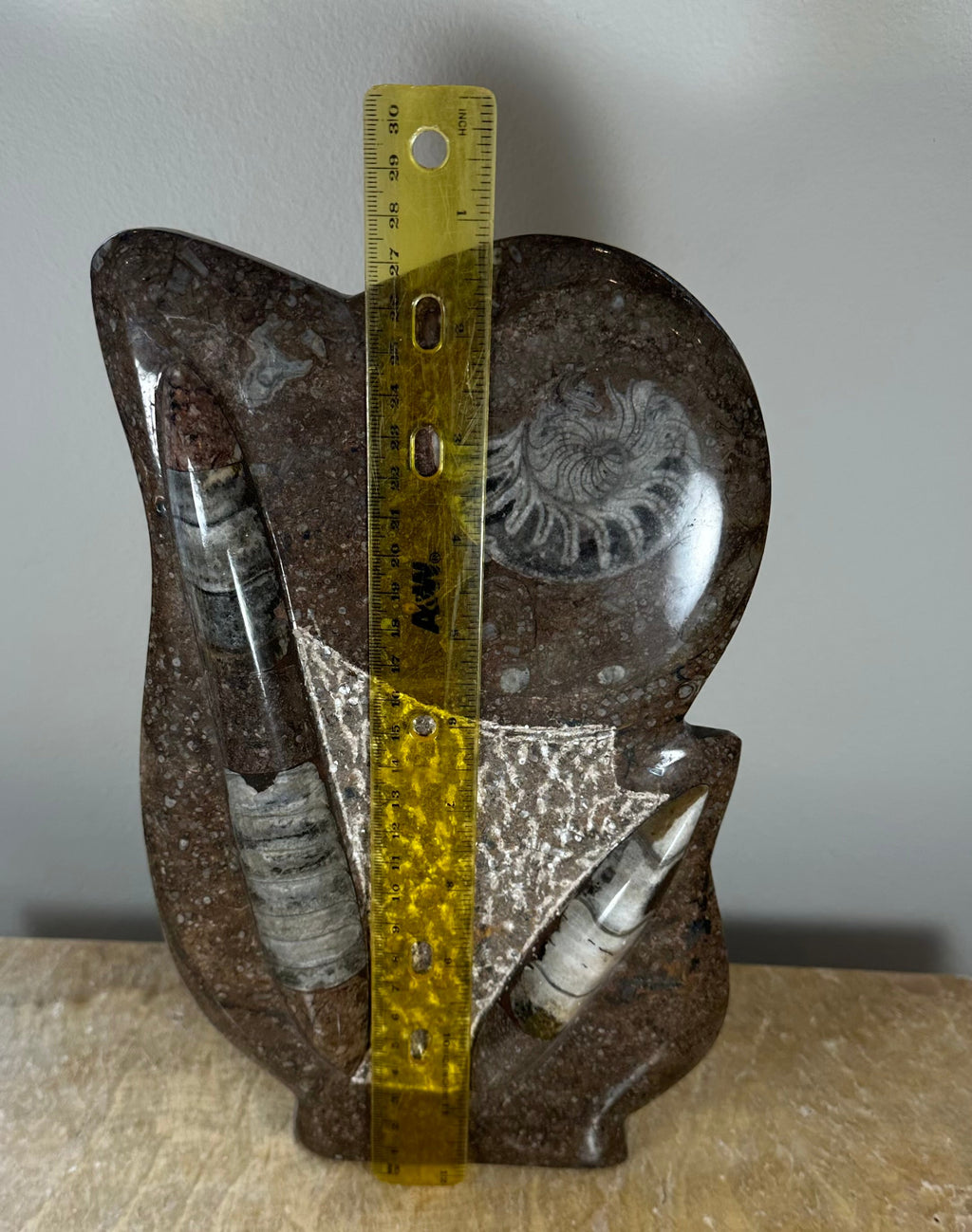 Ammonite Fossils in Matrix Sculpture by Rare Earth Gallery