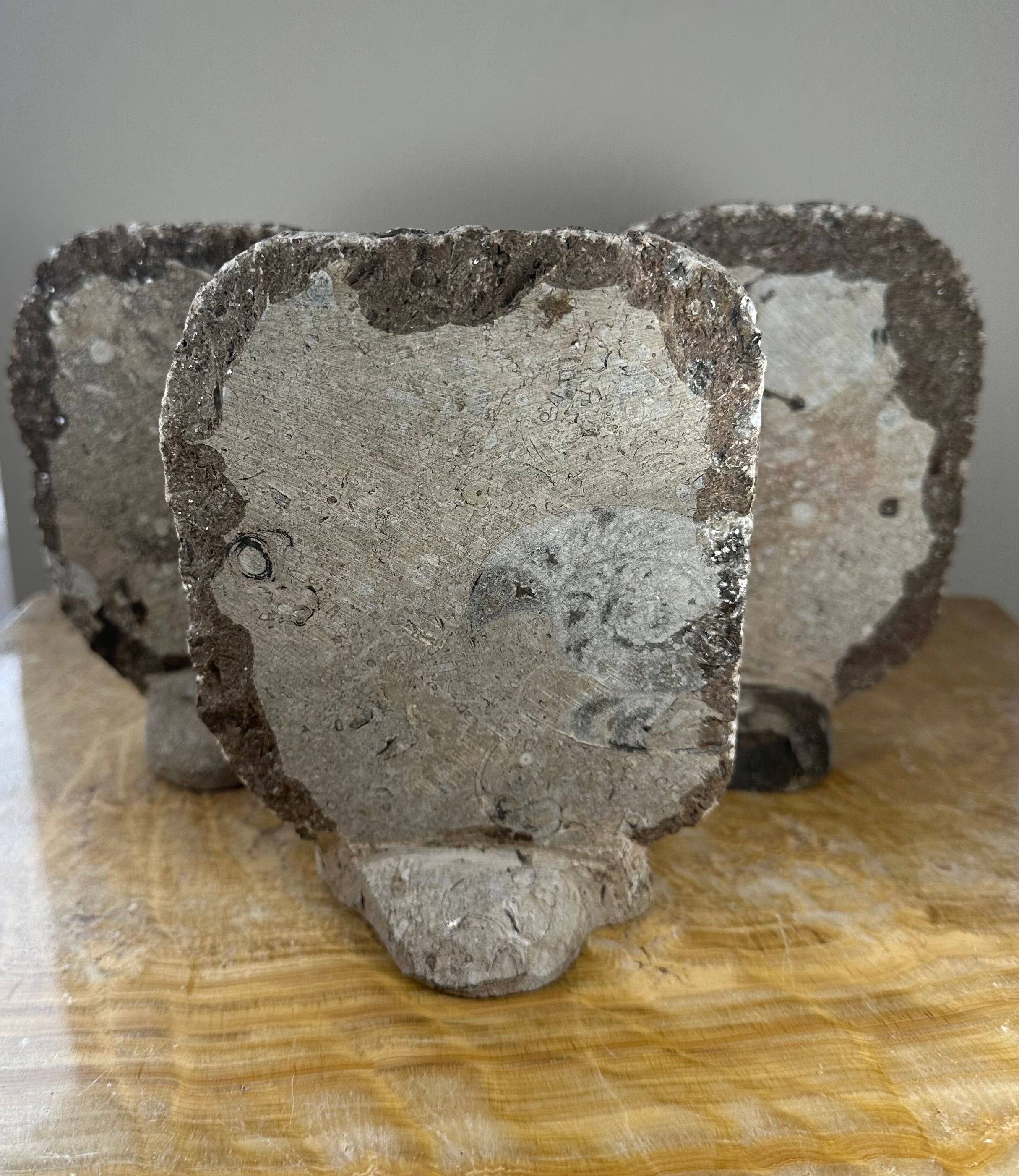 Ammonite Fossils in Matrix Sculpture by Rare Earth Gallery