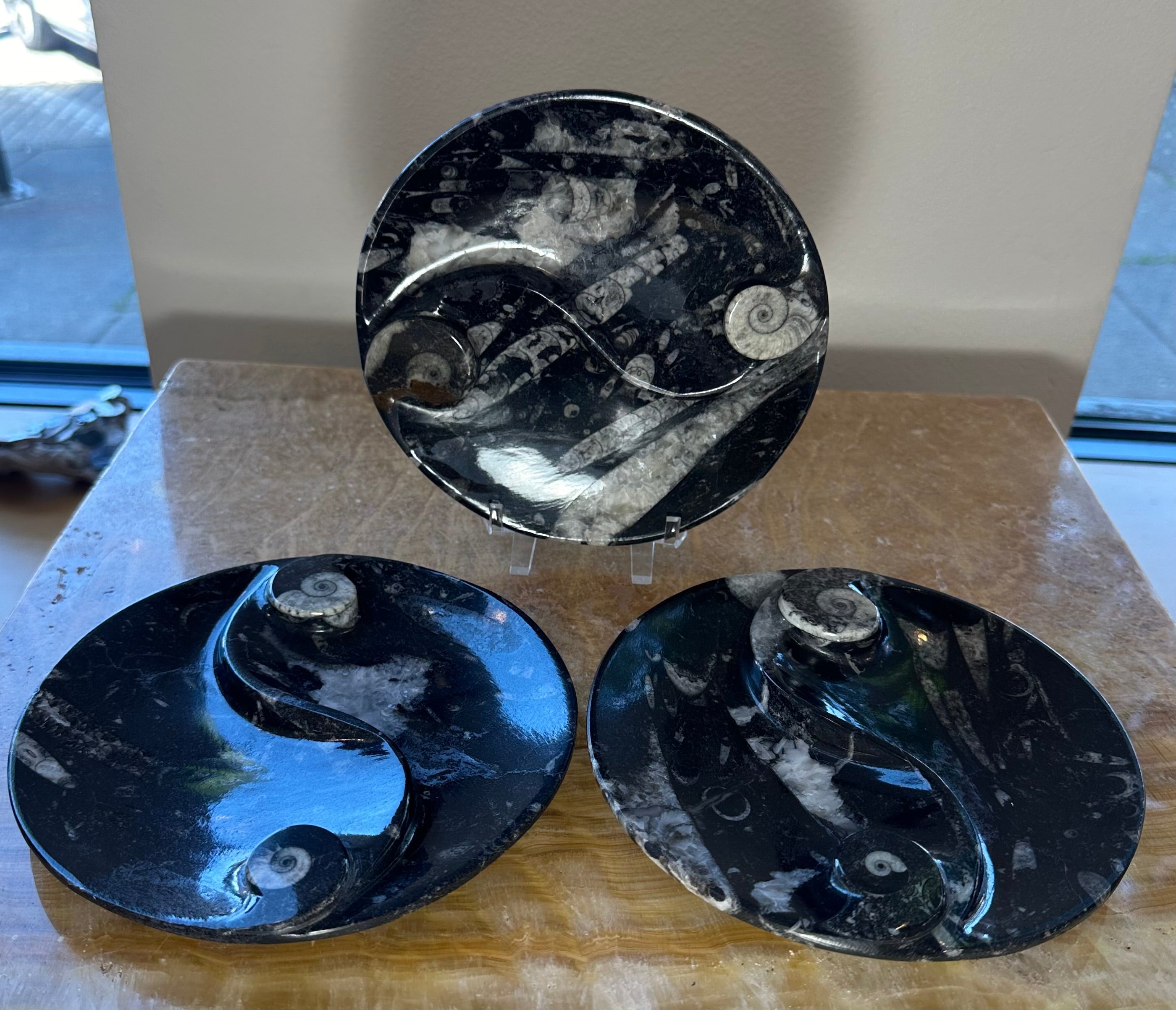 Goniatite & Orthoceras Fossils in Black Limestone Polished Yin-Yang Plate from Morocco by Rare Earth Gallery