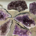 Brazilian Amethyst Druze MD by Rare Earth Gallery