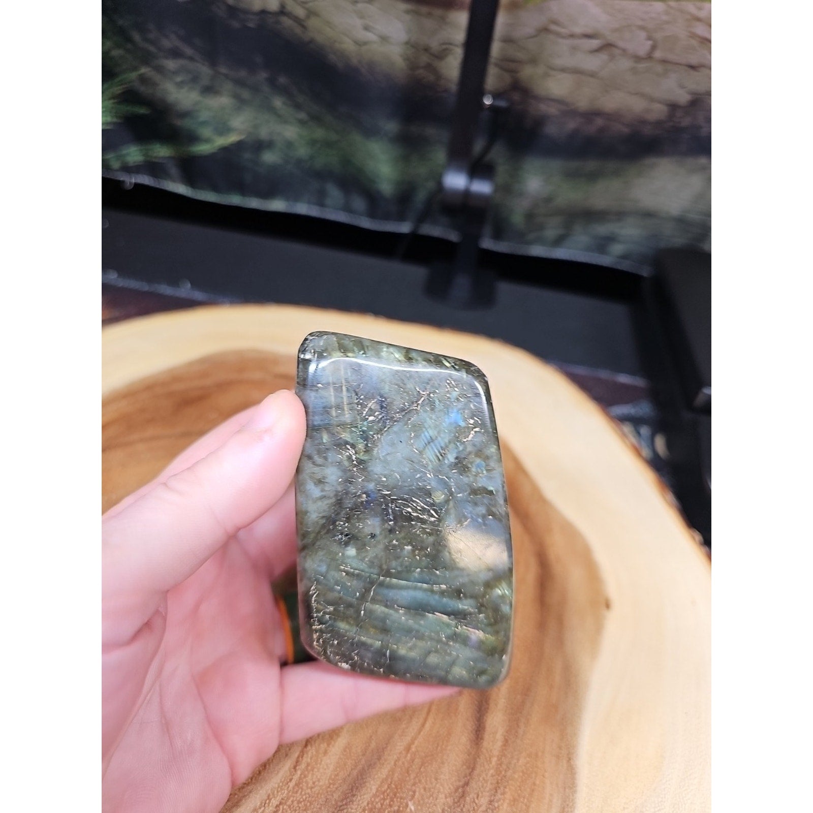 1LB 1Pcs Natural Rainbow Labradorite Crystal Spectrolite Stone by CrystalCloud Company