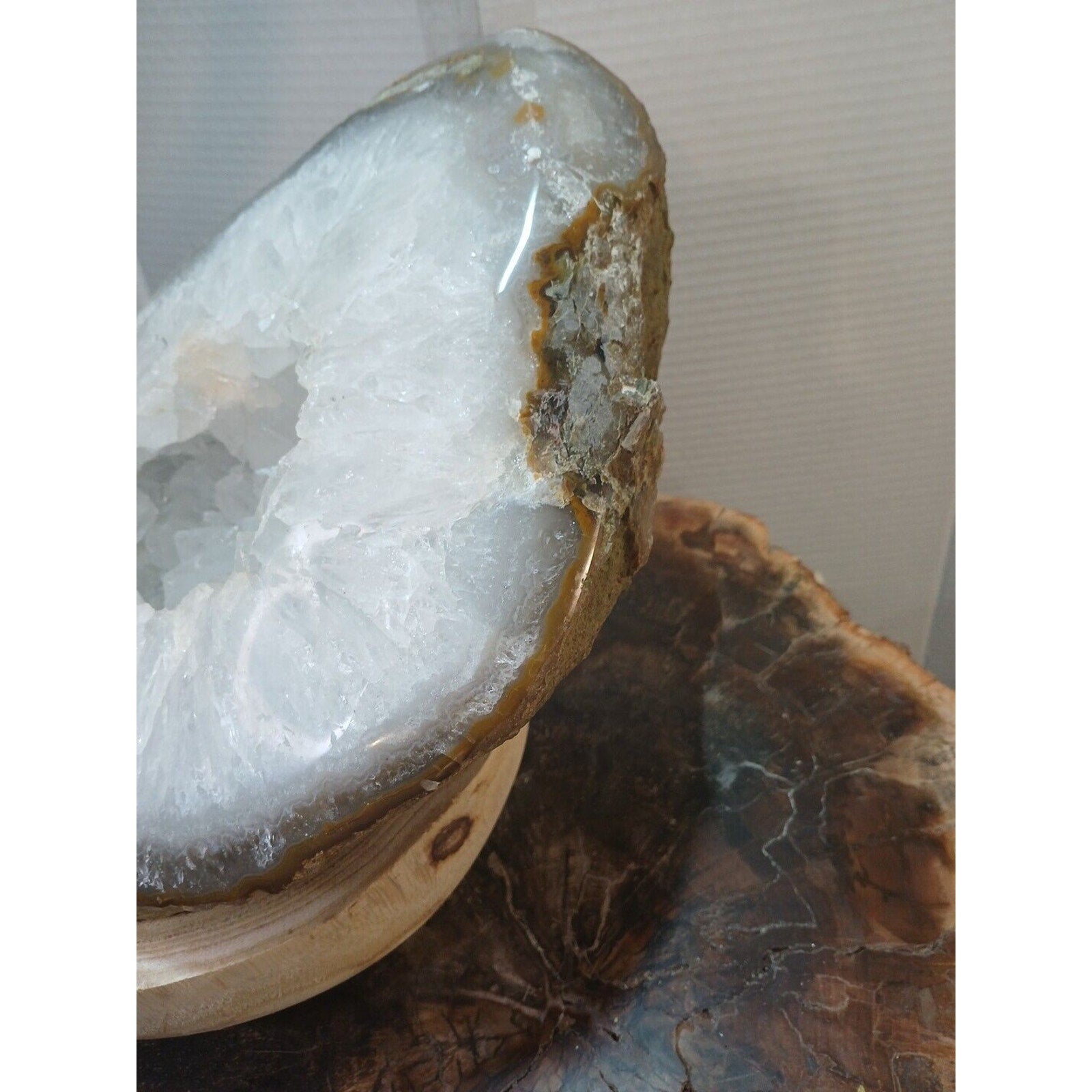 Large Natural Madagascar Agate Geode — 19.3 lbs, Museum-Quality Quartz Specimen | CrystalCloud Company by CrystalCloud Company