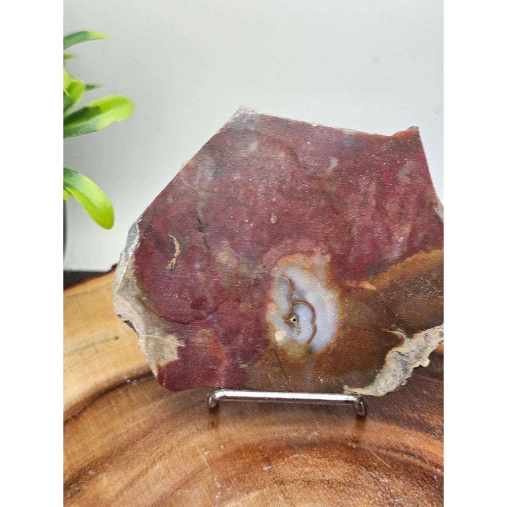 Red Agate Slice on Metal Display Stand