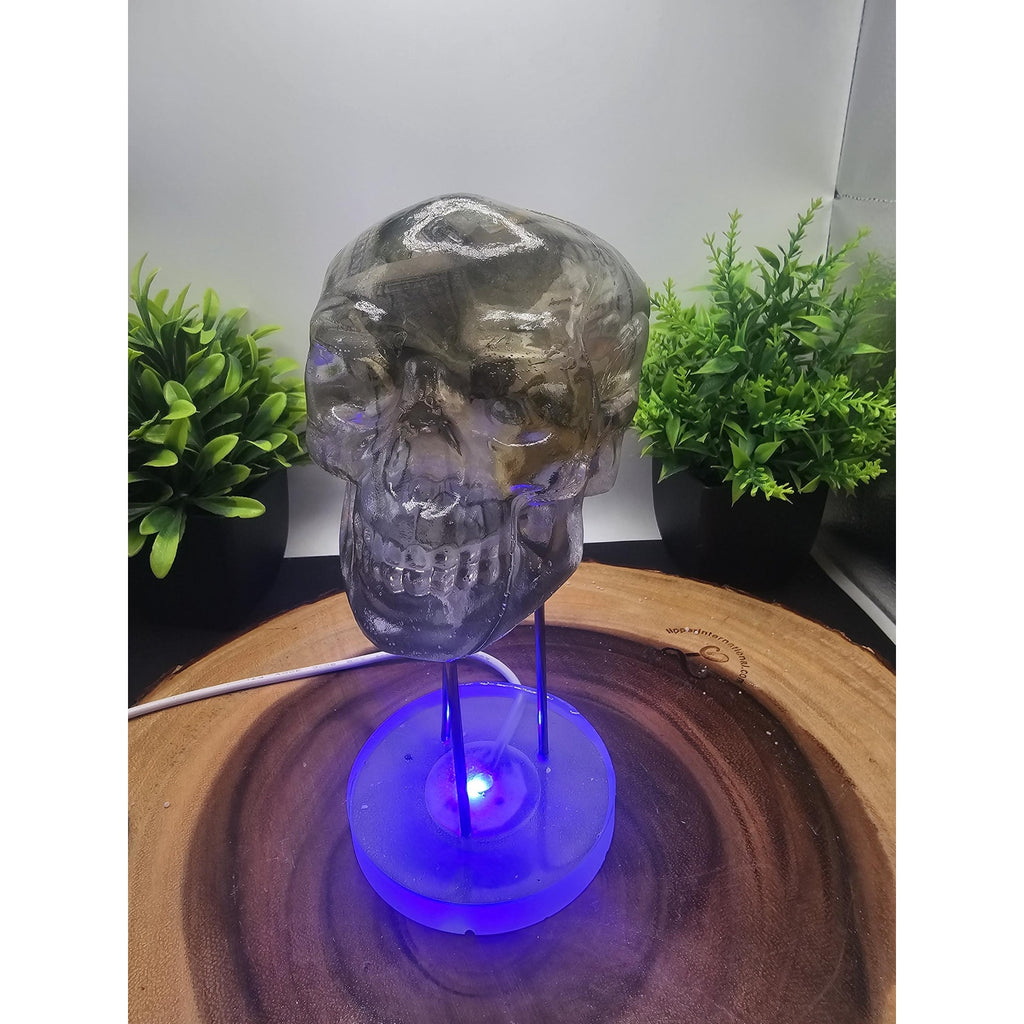 Money skull by CrystalCloud Company