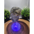 Money skull by CrystalCloud Company
