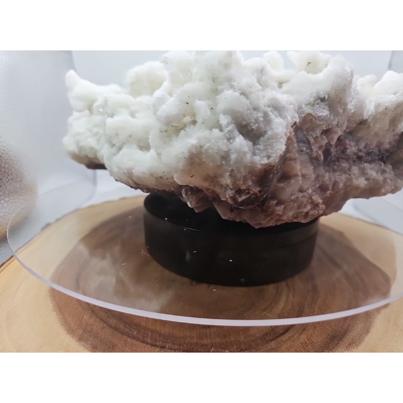 11.27LB New Find Natural Clear Selenite Gypsum Cluster Specimen by CrystalCloud Company