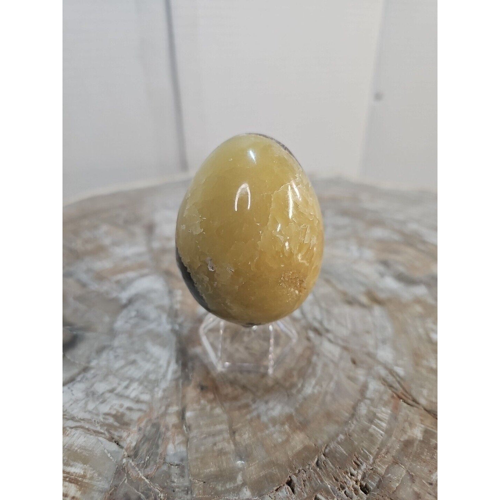 9.0oz Natural Septarian Dragon quartz Crystal egg Mineral Specimen W/Stand by CrystalCloud Company