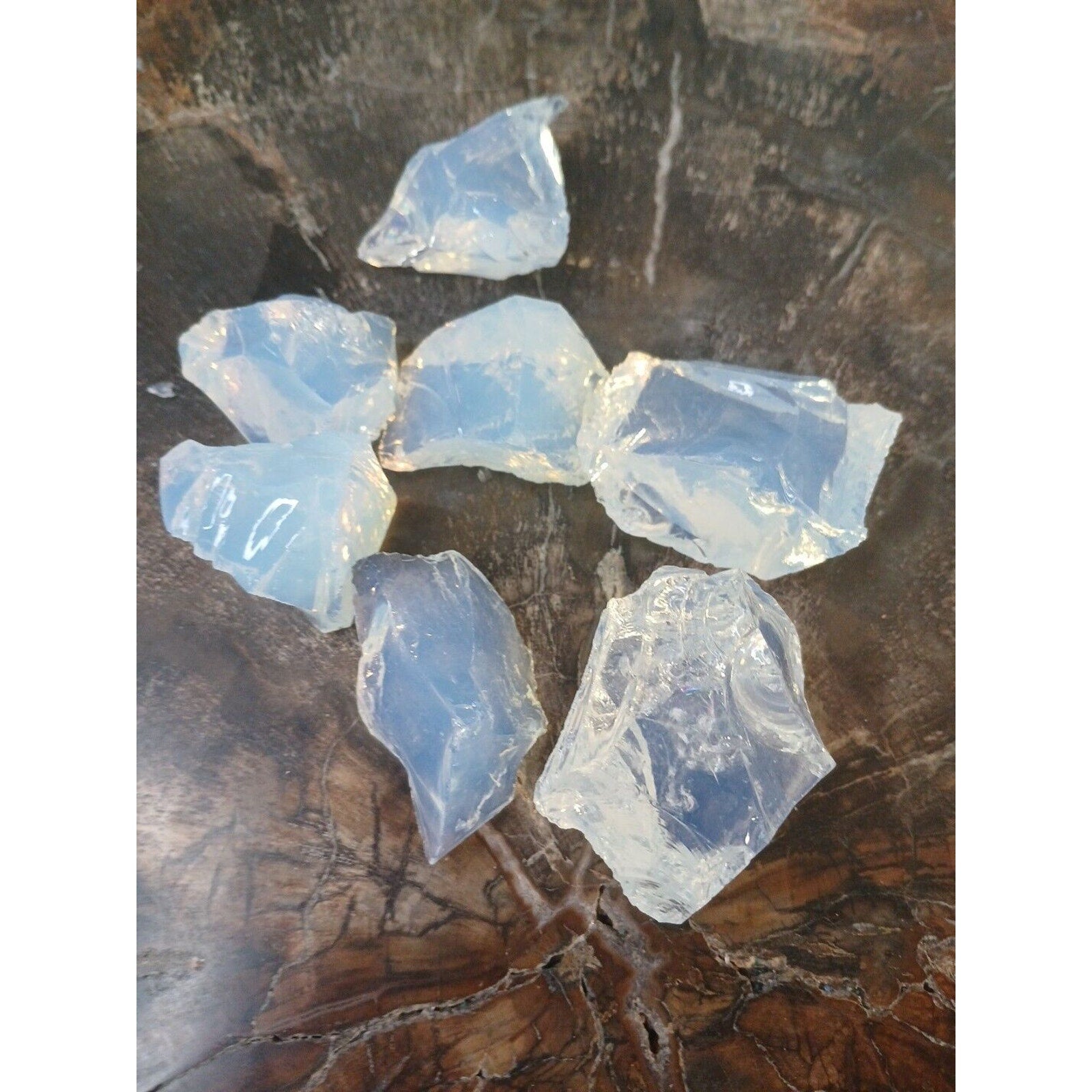 Opal Raw Gem For Healing 6 Pcs by CrystalCloud Company