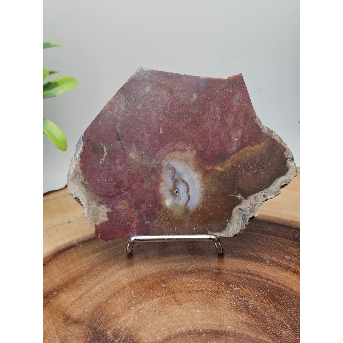Red Agate Slice on Metal Display Stand