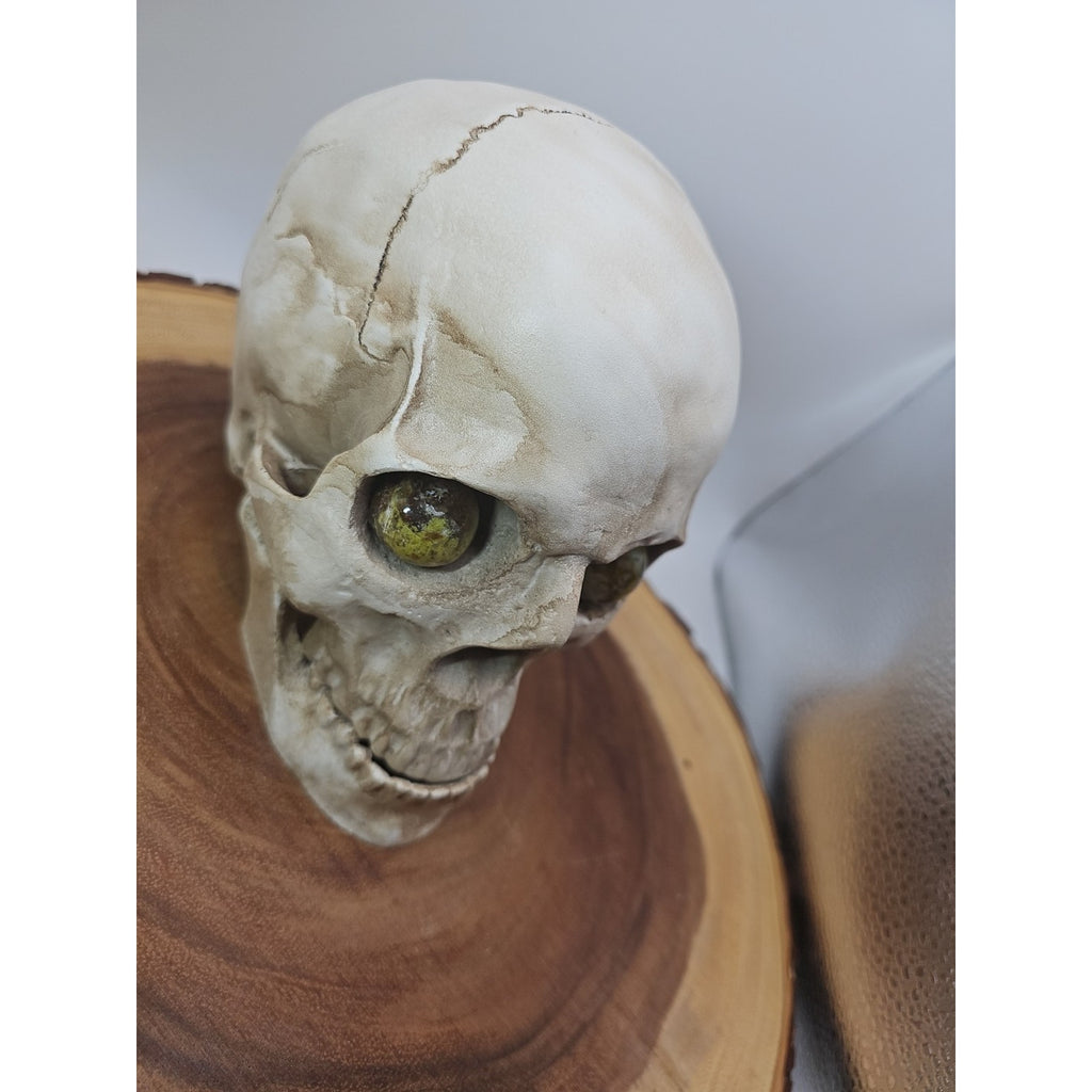 Resin Crystal Skull with Ocean Jasper Quartz Eyes — Collector Art Piece | CrystalCloud Company by CrystalCloud Company