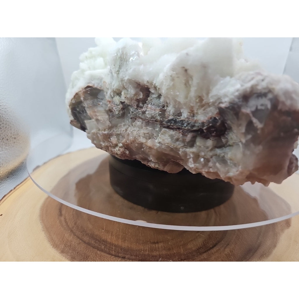 11.27LB New Find Natural Clear Selenite Gypsum Cluster Specimen by CrystalCloud Company