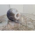 2.2 lb Natural Amethyst Hand-Carved Crystal Skull — Spiritual Collector Piece | CrystalCloud Company by CrystalCloud Company