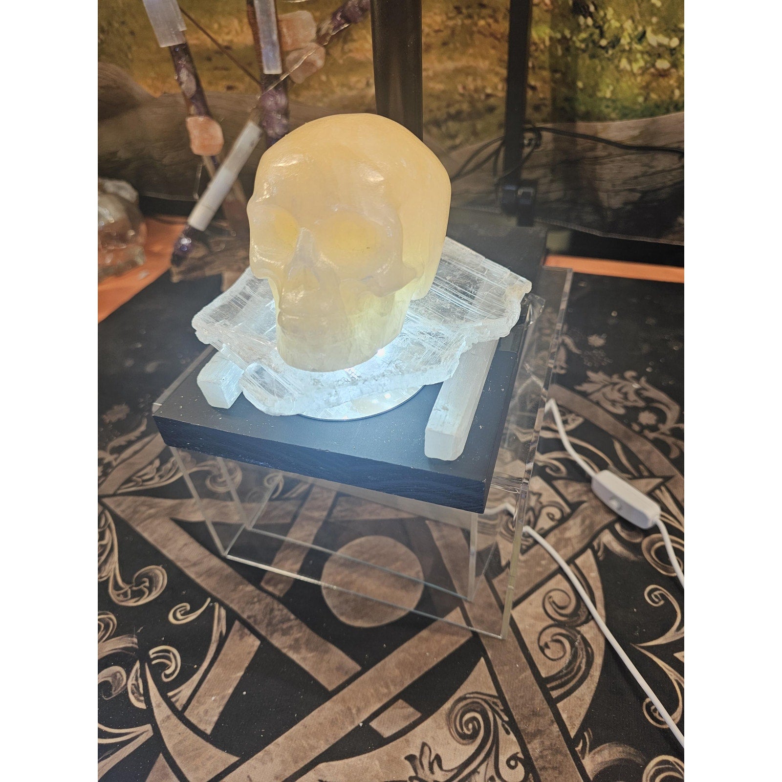 Skull Statement Piece by CrystalCloud Company