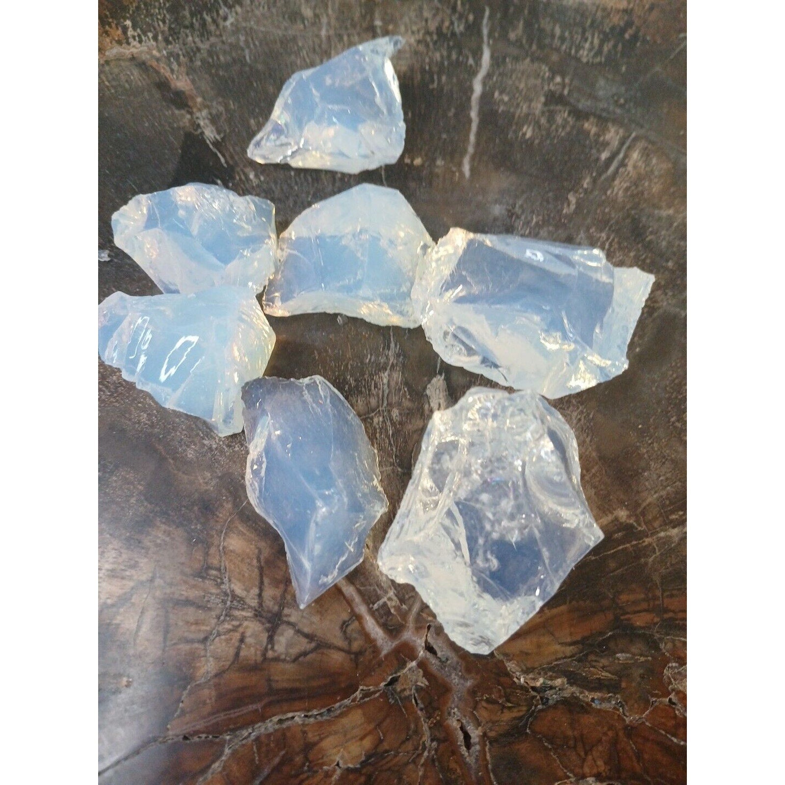 Opal Raw Gem For Healing 6 Pcs by CrystalCloud Company