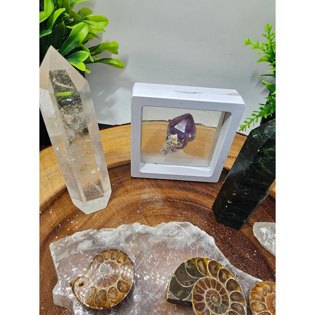 Crystal Set Lot — Ammonites, Selenite Slab, Amethyst, Clear Quartz, Green Quartz Tower, Ocean Jasper