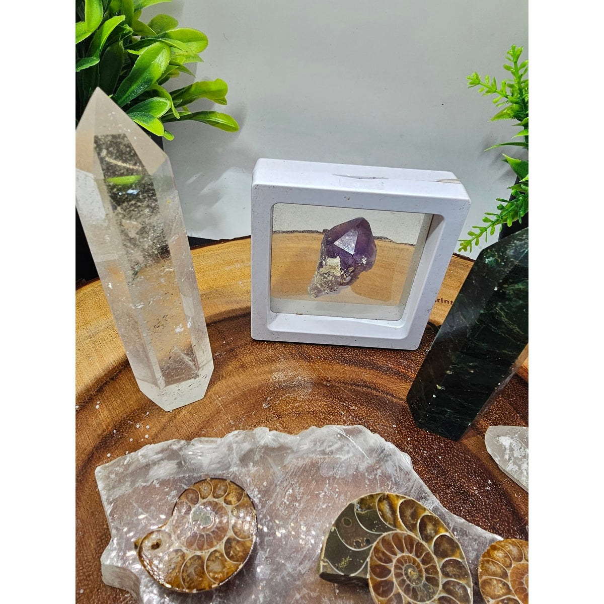Crystal Set Lot — Ammonites, Selenite Slab, Amethyst, Clear Quartz, Green Quartz Tower, Ocean Jasper